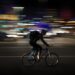 rider, fattorino in bici