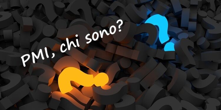 PMI: micro, piccole e medie imprese. Chi sono?