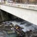 Si apre una voragine e cade con il muletto dal ponte