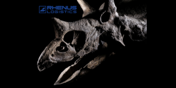 Rhenus Logistics Muletti Dappertutto